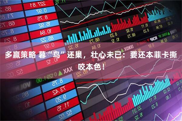 多赢策略 暮“鸟”还巢，壮心未已：要还本菲卡撕咬本色！
