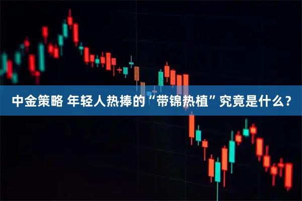 中金策略 年轻人热捧的“带锦热植”究竟是什么?