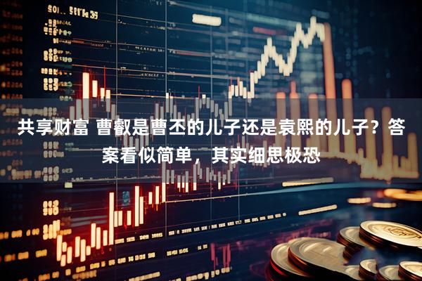 共享财富 曹叡是曹丕的儿子还是袁熙的儿子?答案看似简单,其实细思极恐