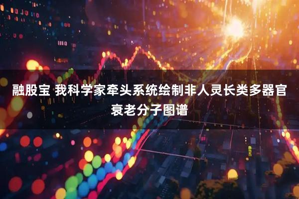 融股宝 我科学家牵头系统绘制非人灵长类多器官衰老分子图谱
